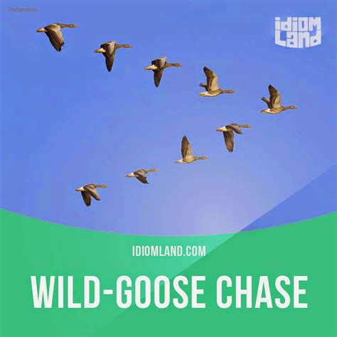 English is FUNtastic: "Wild-goose chase" means...