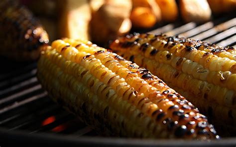 Roasted Maize Provides a Snack for all Seasons | Grilling recipes, Bbq corn, Summer corn salad