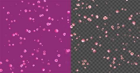 4k Pink Petals 4, Stock Video - Envato Elements