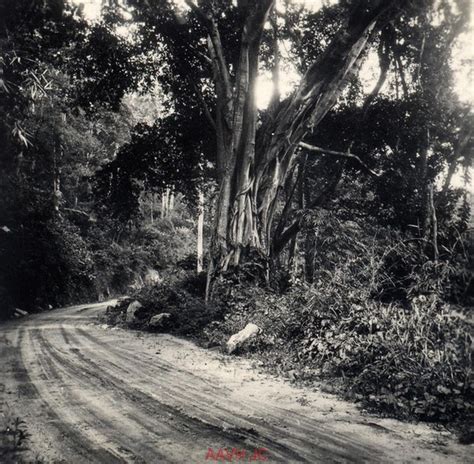 Ngắm phong cảnh hoang sơ trên đường đi Đà Lạt năm 1934