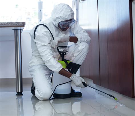 Fumigation Services Cape Town | Residential & Commercial Extermination