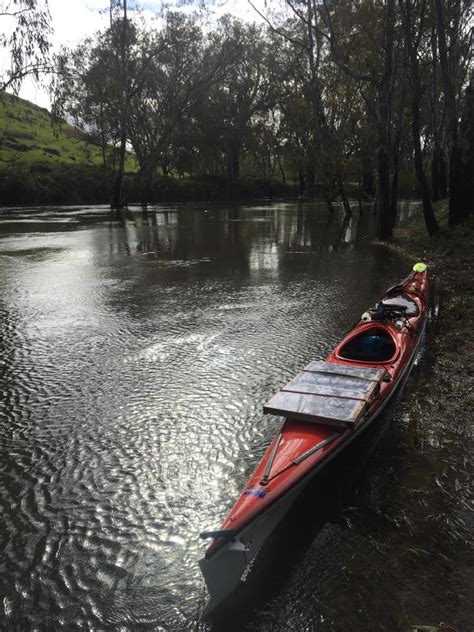 Murray River Kayak.: Murray River Paddle 2016 Day 2 Dights Hill (d/s Albury) to Howlong Common ...