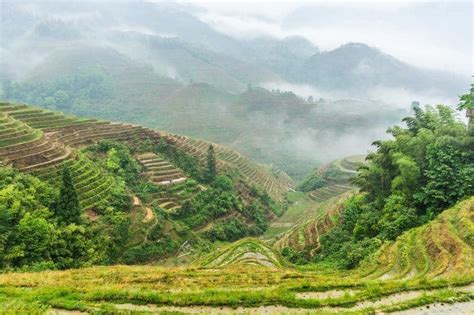 Hiking The Dragon's Backbone At Longji Rice Terraces - NOMADasaurus Adventure Travel Blog