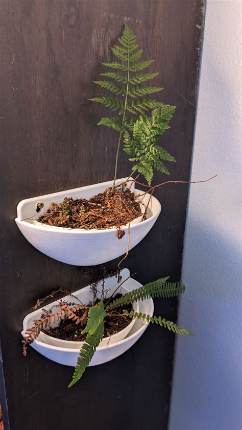 Wall mounted pot with drainage by Ned | Download free STL model ...