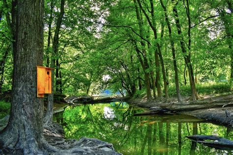 7 Most Beautiful Campgrounds in Indiana | Drivin' & Vibin'