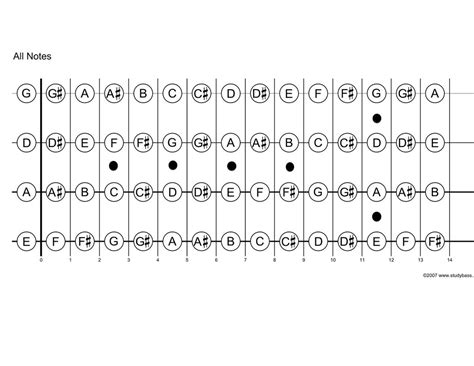 Printable Fretboard Diagram Basslessons 52845 | Hot Sex Picture