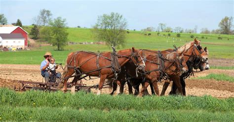 Heritage brings a unique experience at Sugarcreek | Ohio's Amish Country