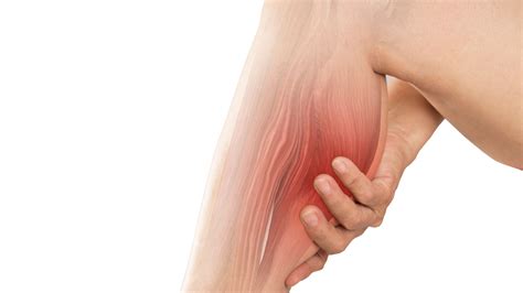 What is Myalgia: Causes, Symptoms & Treatments - Progressive Pain Management - NJ Pain ...