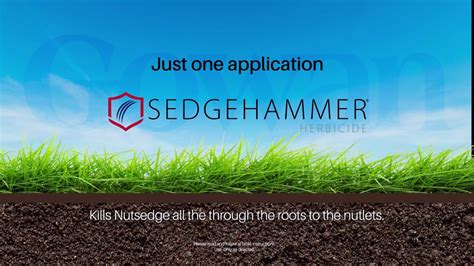 Sedgehammer Plus Herbicide Label Shop Outlets | www.oceanproperty.co.th