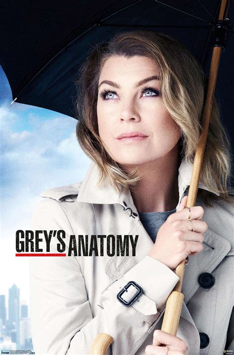 Grey's Anatomy Season 12 - One Sheet Poster - Walmart.com - Walmart.com