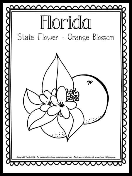 Florida State Flower Coloring Page (the Orange Blossom!) {FREE ...