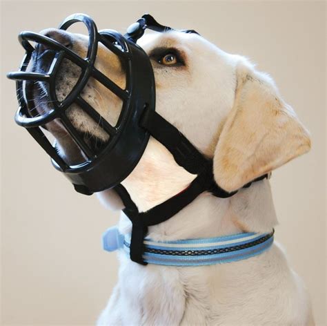 Baskerville Ultra Dog Muzzle Size 3, Black, Muzzle for Beagle, Bearded Collie..... * To view ...
