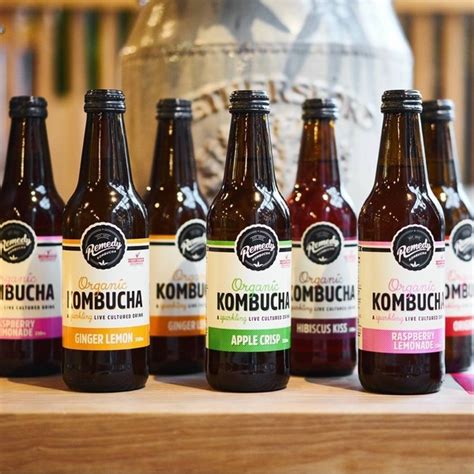 10 Best Kombucha Brands - Must Read This Before Buying