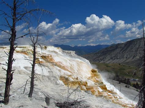 Mammoth Hot Springs at Yellowstone National Park | Nonstop from JFK