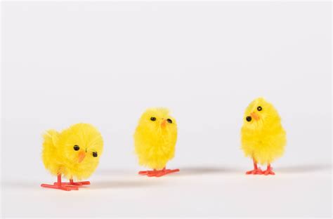 Set of cute small chickens on white background | 🇩🇪Profess… | Flickr