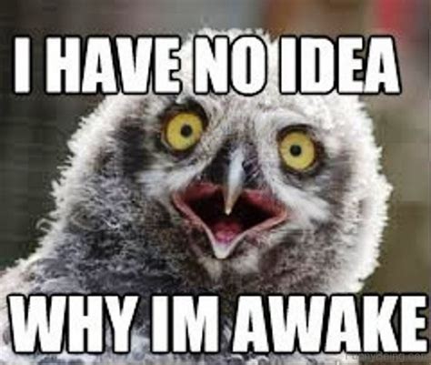 71 Funny Sleep Memes For Those Nights When Insomnia Is Kicking In