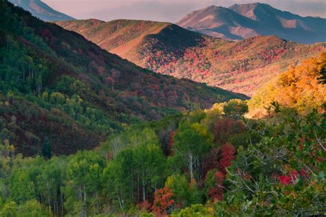 More Utah Fall Colors | Clint Losee Photography