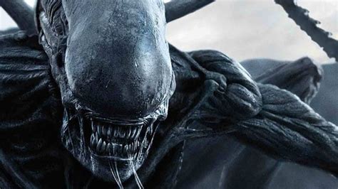 Alien: Romulus star confirms the new movie’s timeline, and sends plot ...