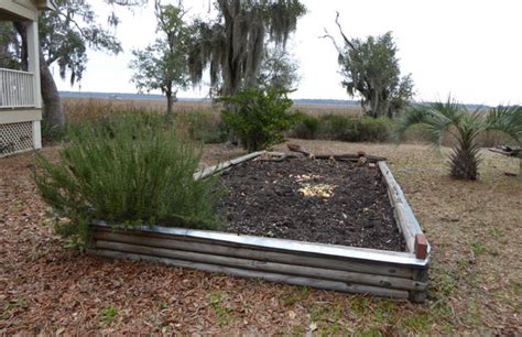 Starting a compost heap - Gardening Site