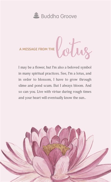 Lotus çiçeği Ile Ilgili Sözler - freeofdesign.art