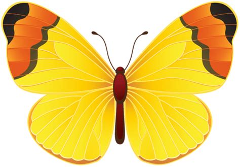 Yellow Butterfly Png - Clip Art Library