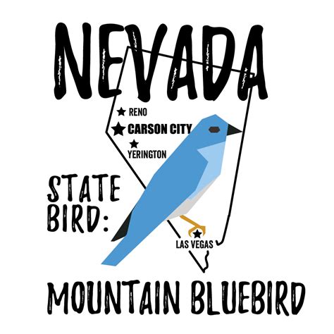 Nevada State Bird - Bird Watching Academy