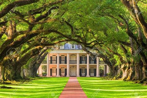 Oak Alley Plantation Tour With Transportation: Triphobo