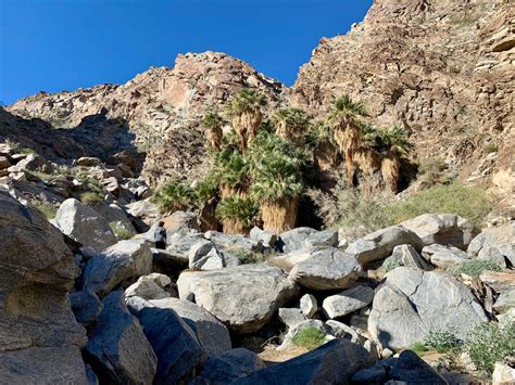 5 Easy Hikes in the Palm Springs Area