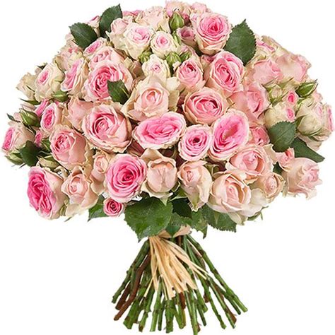 Baby Pink Rose’s Bouquet - Flowers Oman - Flowers & Gifts in Muscat