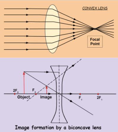 10 Differences between the concave and convex lens - DewWool