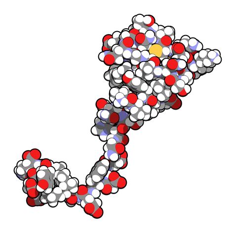 Hirudin | Podcast | Chemistry World