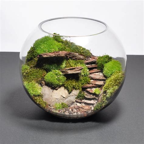 Biosphere Terrarium : Steps #TerrariumIdeasUnique | Minibiotop ...