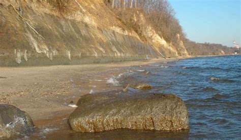 Calvert Cliffs Fossils: Fossil Shark Teeth and other Fossils from the Miocene Shores of Maryland ...