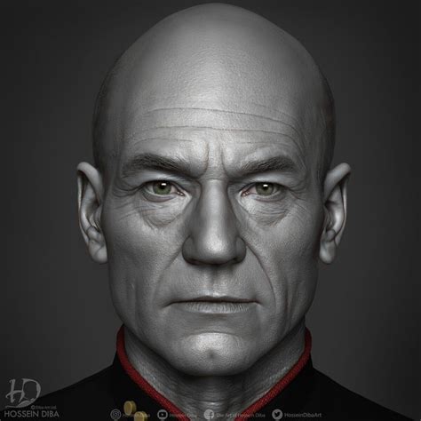 Captain Jean Luc Picard Sculpt, Hossein Diba | Jean luc picard, Picard, Captain