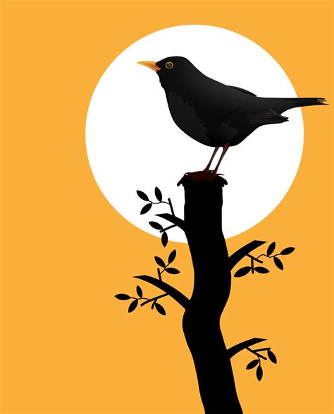 Bird Silhouette On Branch Free Stock Photo - Public Domain Pictures