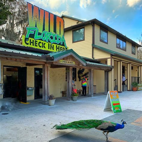 Wild Florida Drive-thru Safari Airboats & Wildlife Park - The Western New Yorker