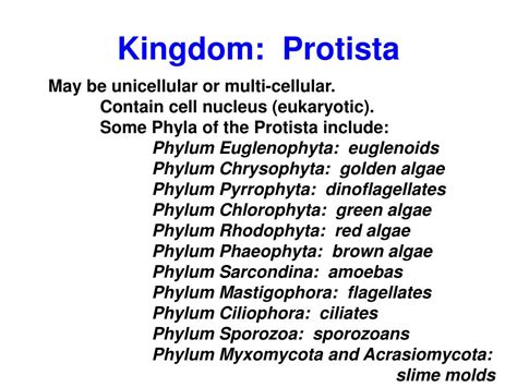 PPT - MONERA (1 celled, no nucleus) PowerPoint Presentation, free download - ID:5913345