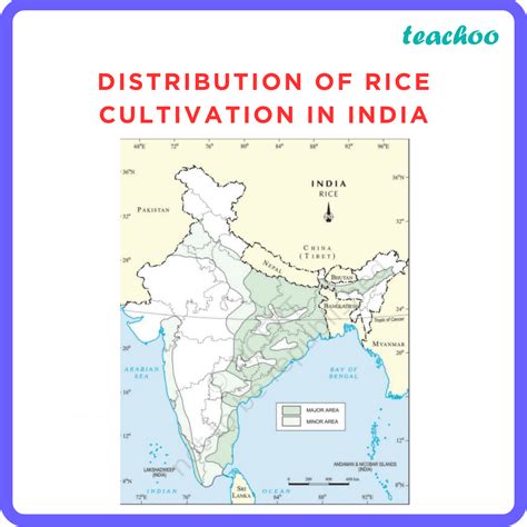 [Geography] Map Based - Agriculture Class 10 - Teachoo - Concepts