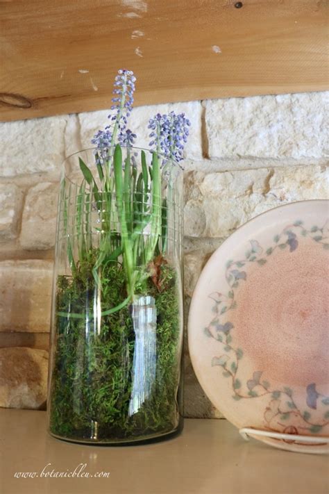 Botanic Bleu: French Country Kitchen Stone Wall | Spring