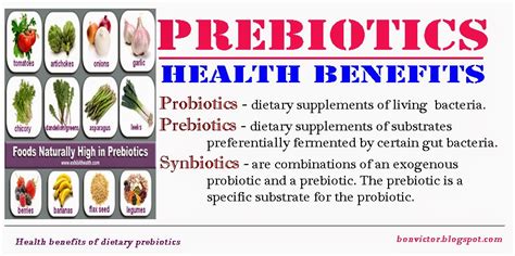 bonvictor.blogspot.com: Health benefits of dietary prebiotics