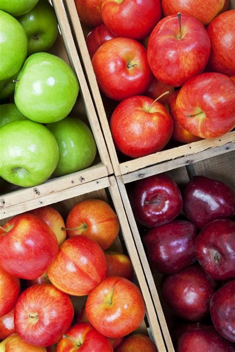 T&G Global to commercialize new apple varieties developed in climate warming program ...