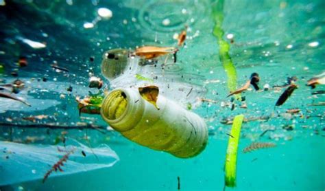 UN Lends Weight to Ocean Pollution Problem to Advance the Circular Economy – Sourcing Journal