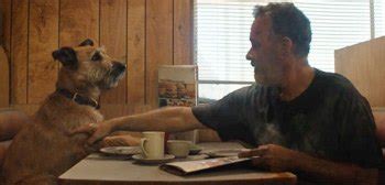 Tom Hanks + Dog + A Robot in Official Trailer for 'Finch' Sci-Fi Movie | FirstShowing.net