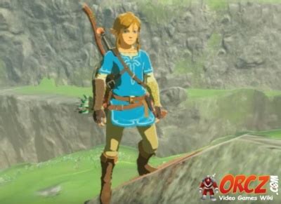 Breath of the Wild: Link - Orcz.com, The Video Games Wiki