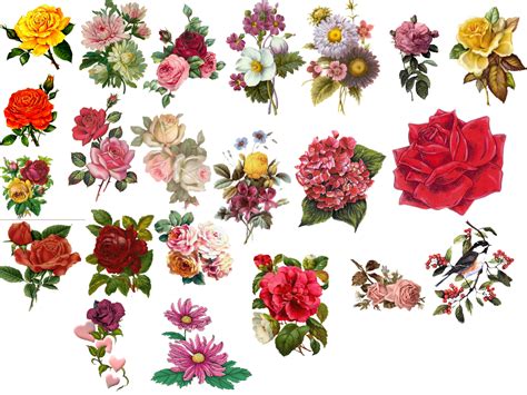vintage flowers Vintage Floral Tattoos, Vintage Flower Prints, Vintage Flowers, Vintage Art ...