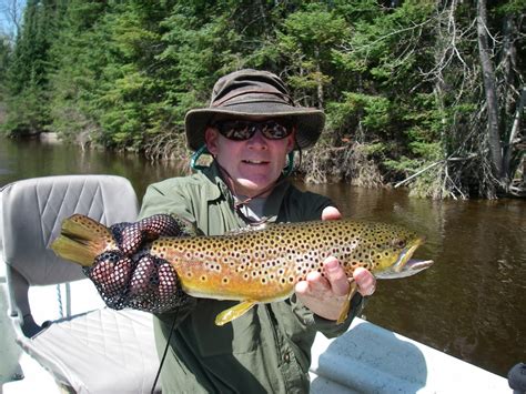 Dry Fly Fishing "Do's" - Tips for dry fly fishing