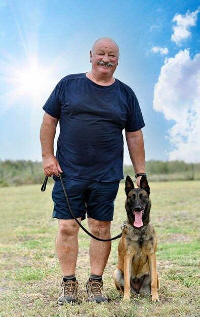 Premium Photo | Training of belgian shepherd