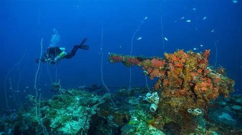 Liveaboard Diving in Chuuk (Truk) Lagoon | PADI Travel