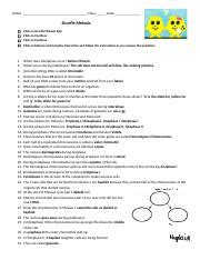 Snurfle Meiosis Worksheet Answers Pdf – Askworksheet