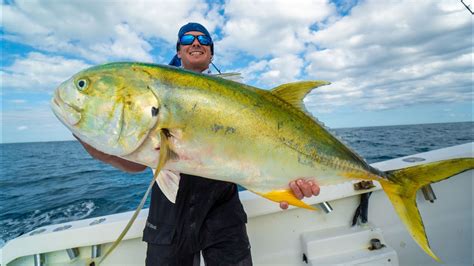 World's BIGGEST Trash Fish. Catch Clean Cook (Jack Crevalle)